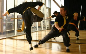 Lishi Taoist YANG Arts