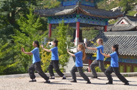 Lishi YIN arts